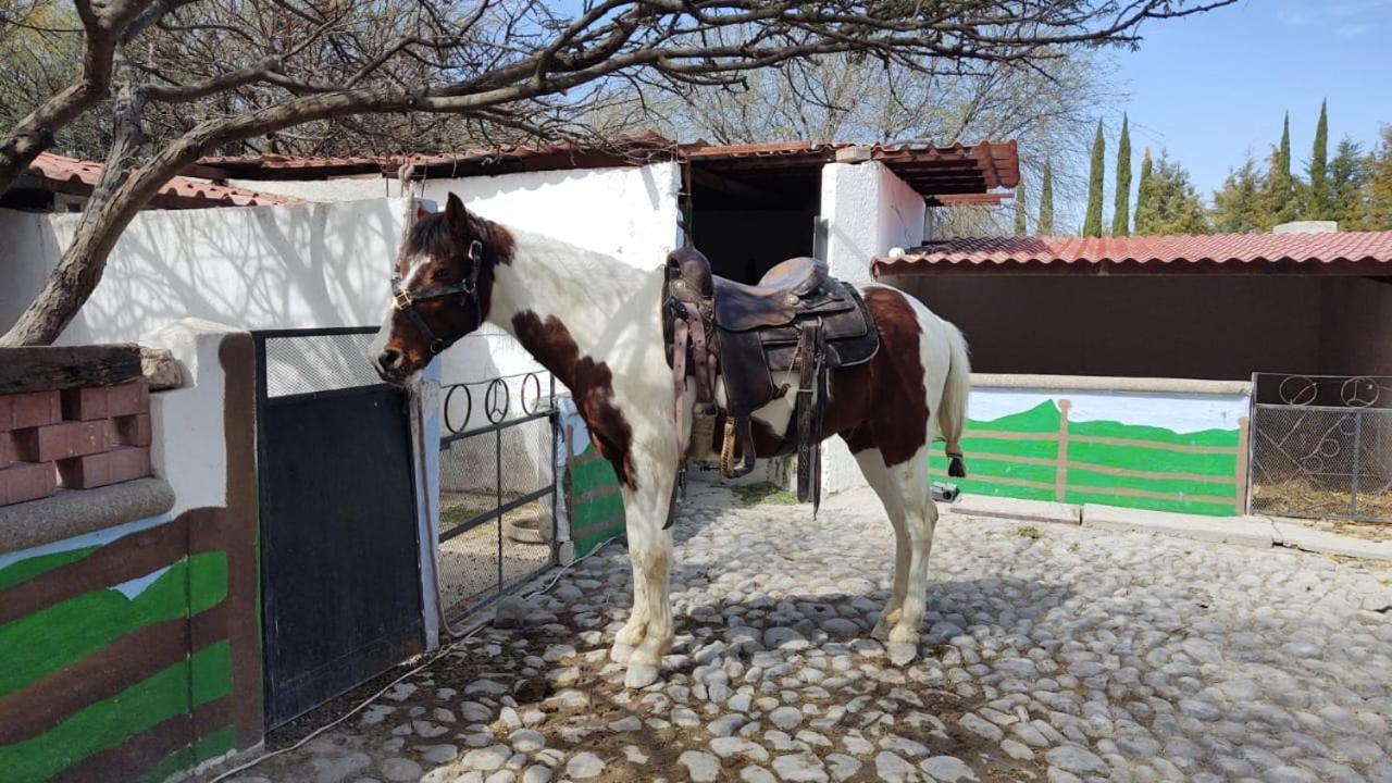 Rancho Labradores Atotonilco  Ngoại thất bức ảnh