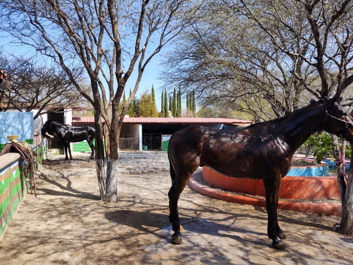 Rancho Labradores Atotonilco  Ngoại thất bức ảnh