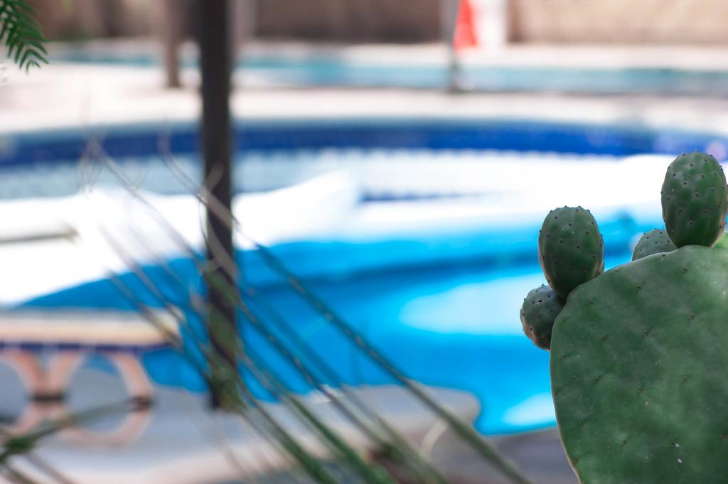 Rancho Labradores Atotonilco  Ngoại thất bức ảnh